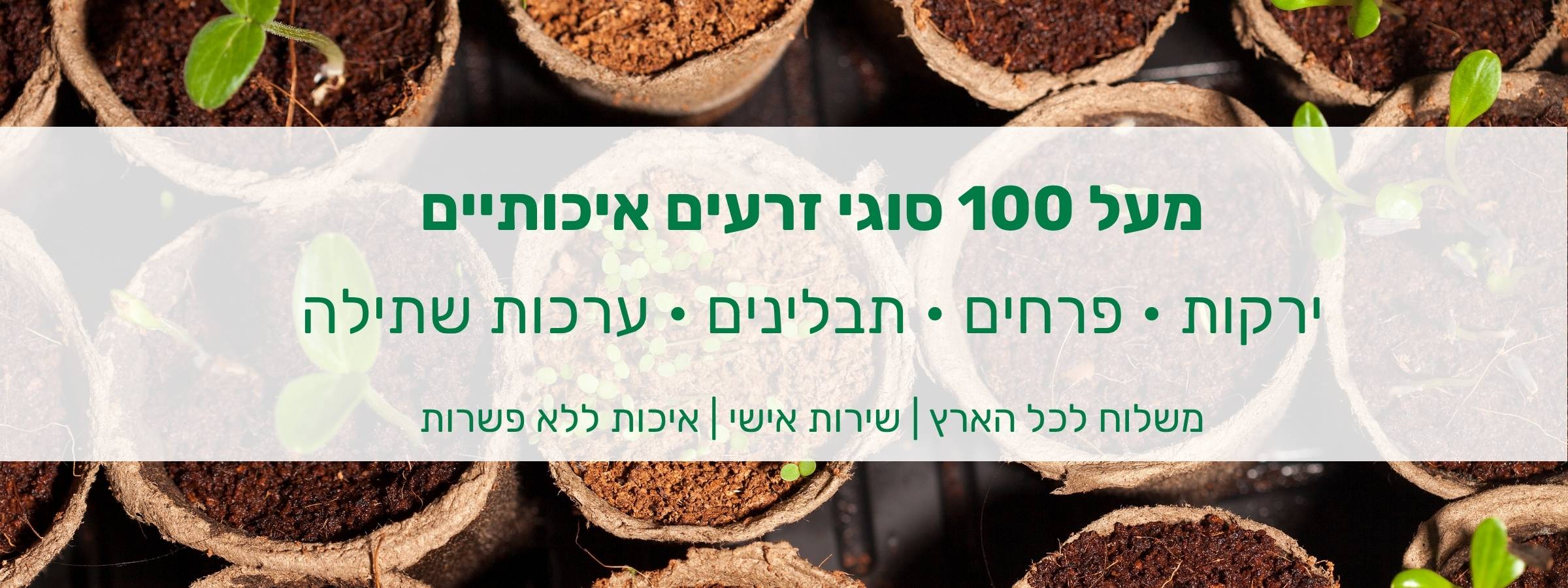 תמונה ללא תיאור